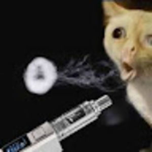 Meet your Posher, Travis